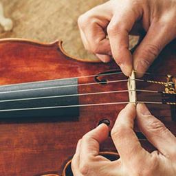 Tamara : réparation d'instruments de sonorisation dans la Haute Savoie