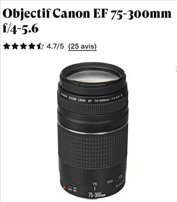 Exemple d'un objectif d'appareil photo à restaurer