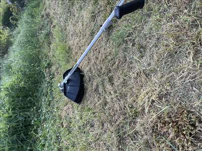 Exemple d'un coupe-herbe à restaurer
