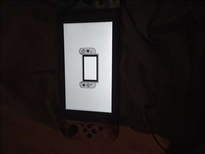 Voici un exemple d'une Nintendo Switch à réparer