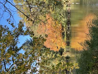 Voici un exemple d'un véhicule électrique à deux roues à réparer