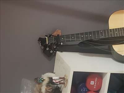 Voici un exemple d'un instrument à cordes à réparer