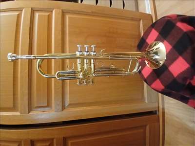 Voici un exemple d'un instrument de musique à vent à réparer