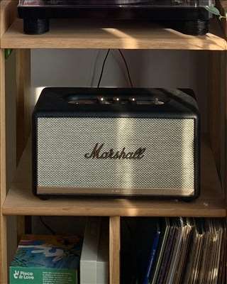 Voici un exemple d'une enceinte de sonorisation à réparer