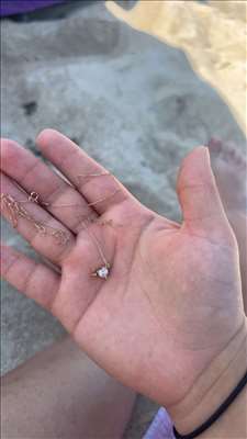 Annonce pour réparer un collier