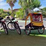 Sas Bike Caraibe : technicien cycles  à Sète (34200)