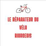 Ludovic : réparation de bicyclette en Auvergne-Rhône-Alpes