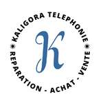 Kaligora : réparateur de carte électronique  à Vienne