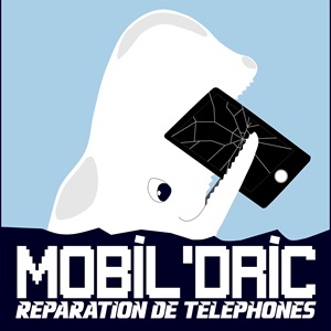 Mobil'dric : service après-vente  à Pessac (33600)