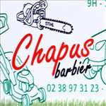 Chapus Barbier : réparateur de tondeuse à gazon  à Vineuil