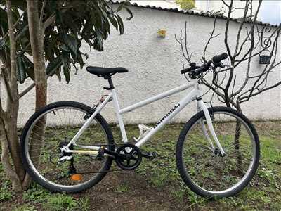 Exemple de réparation de bicyclette n°11209 à Meyzieu par Rvh