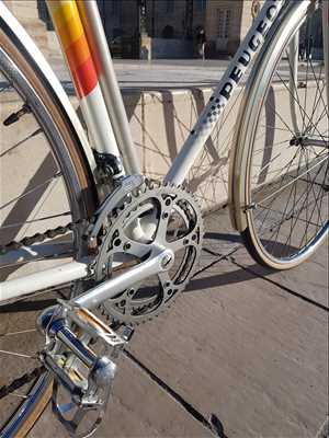 Photo de réparation de vélo n°1136 à Beaune par Adrien