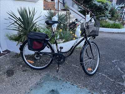 Photo de réparation de bicyclette n°11391 dans le département 69 par Rvh