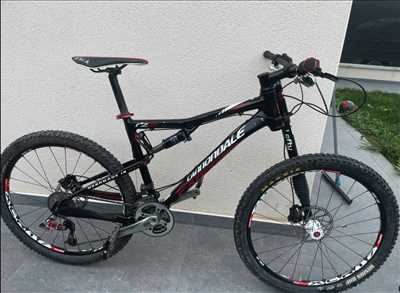 Photo de réparation de vélo n°11492 à Meyzieu par Rvh