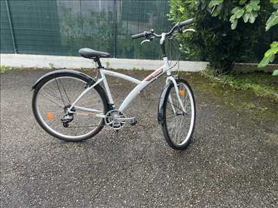 Photo de réparation de vélo n°11808 à Meyzieu par Rvh