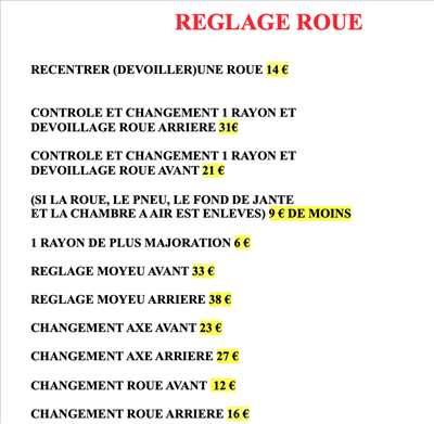 Exemple de réparation de bicyclette n°13285 à Meyzieu par Rvh