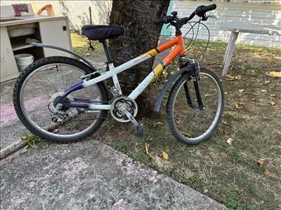 Photo de réparation de bicyclette n°13319 dans le département 69 par Rvh