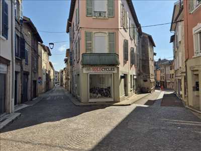 Exemple de réparation de bicyclette n°14281 à Belley par Solucycles