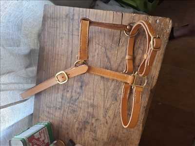 Exemple de restauration de cuir n°14669 à Soissons par L'atelier  Du Cuir De Vassens