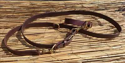 Photo de restauration de cuir n°14671 dans le département 2 par L'atelier  Du Cuir De Vassens