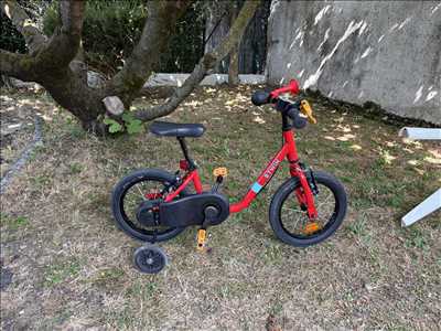 Photo de réparation de vélo n°14788 à Meyzieu par Rvh
