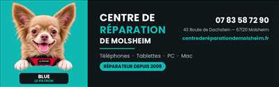 Photo de réparation de téléphone n°15014 à Molsheim par le réparateur Philippe