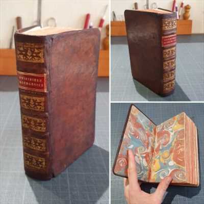 Photo de restauration de livre n°1875 dans le département 54 par L'Arbre à Pages - Pool d'Avenir