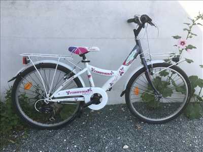 Photo de réparation de vélo n°2288 à Rochefort par Cycl'Oléron