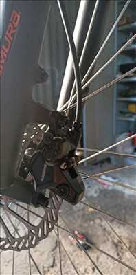 Photo de réparation de vélo n°5040 à Charleville-Mézières par jerome