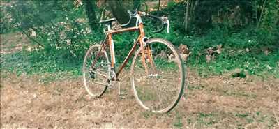 Exemple de réparation de bicyclette n°5277 à Poitiers par Rudy