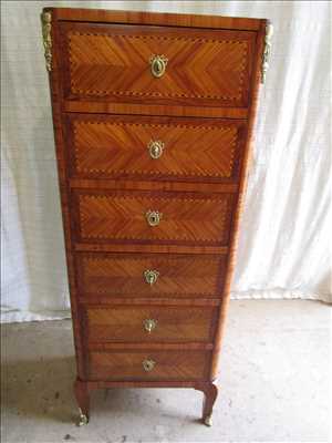 Exemple de restauration de meuble ancien n°7333 à Le Plessis-Trévise par Dominique