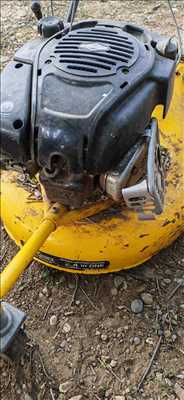 Photo de réparation de tondeuse à gazon n°7864 à Gap par Ds Motoculture Gap