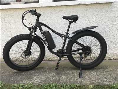 Exemple de réparation de bicyclette n°8561 à Meyzieu par Rvh