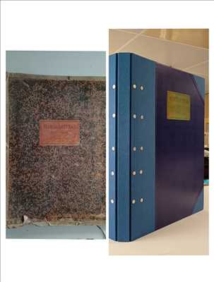 Exemple de rénovation de livres de collection n°9909 à Narbonne par Art Et Reliure De Lautrec