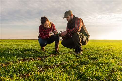 Réparation d’équipement d’agriculteurs - Anzin